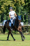Kronenberg - De Peelbergen (August 2020)