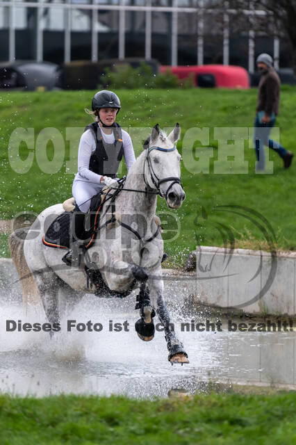 Goldene Schärpe 2020 - Pferde