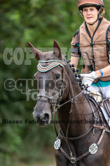 Late-Entry-Vielseitigkeit Langenfeld (11.+13./14.06.2020)