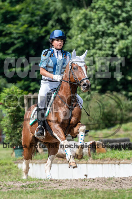 Goldene Schärpe 2021 - Ponys