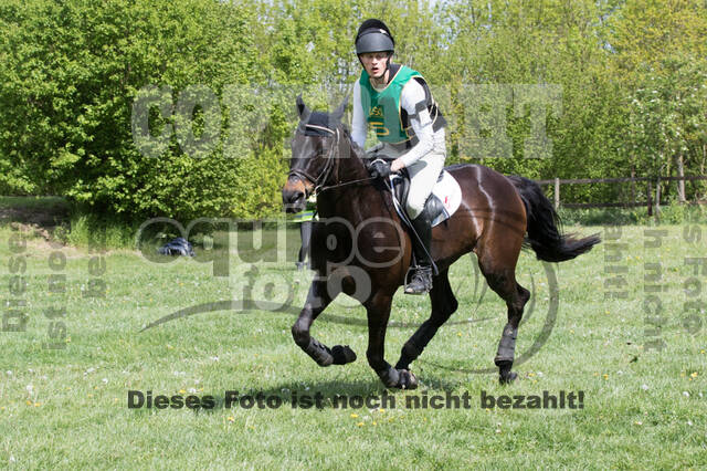 Sterne über Münster 2019 - CCI***S