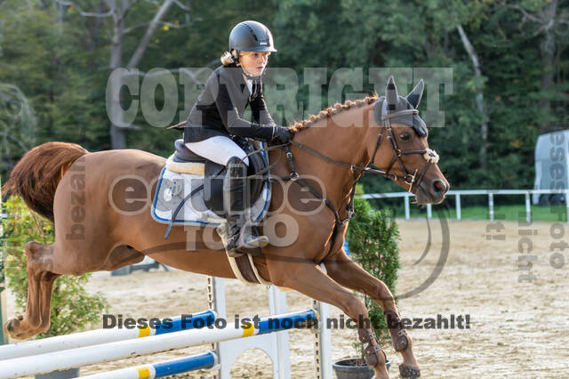 RFV Dinslaken-Hiesfeld (Herbstturnier)