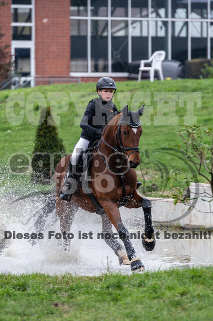 Goldene Schärpe 2020 - Pferde