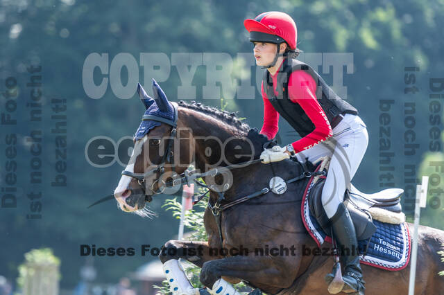 Goldene Schärpe 2021 - Ponys