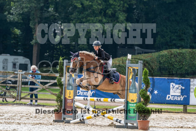 Goldene Schärpe 2021 - Ponys