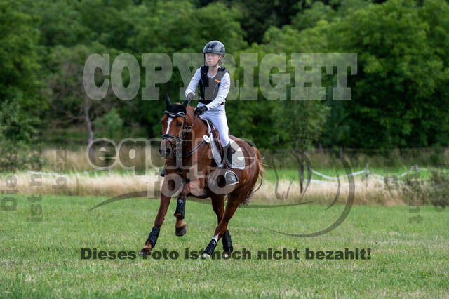 Bonn-Rodderberg Late-Entry-Vielseitigkeit (30.06.2020)