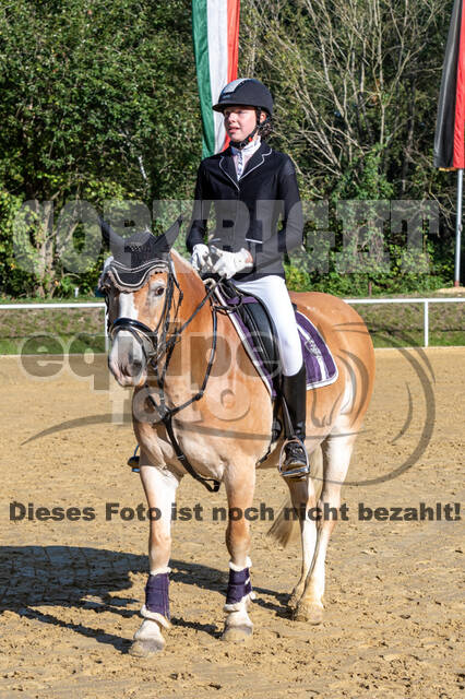 RFV Dinslaken-Hiesfeld (Herbstturnier)