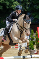 Goldene Schärpe 2021 - Ponys