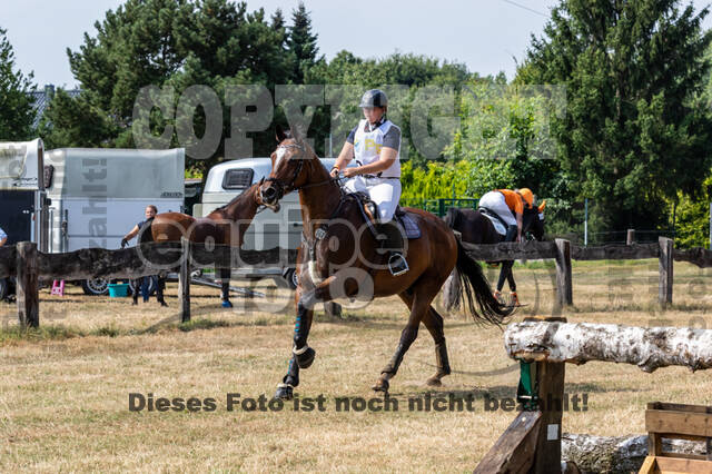 Late-Entry Vielseitigkeit Hamminkeln/Wesel (01.+02.08.2020)