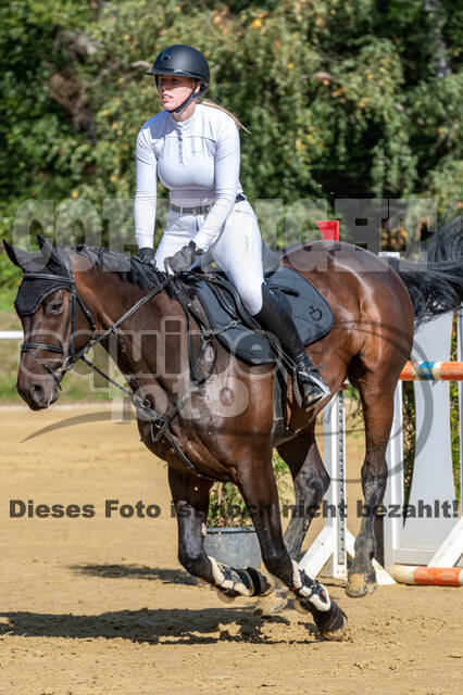 RFV Dinslaken-Hiesfeld (Herbstturnier)