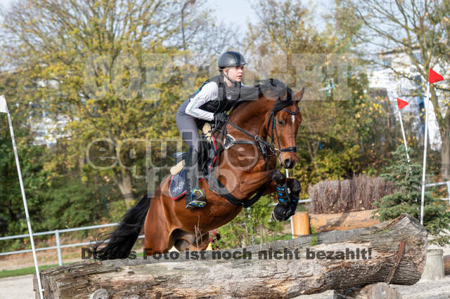 IGV Lehrgang der Sieger der Cups mit Frank Ostholt