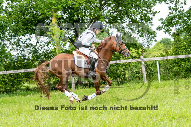 Westerstede Horse Trials 2021