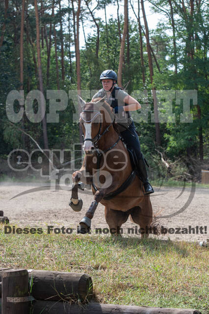 Hunter Geländetraining (16.08.2020)