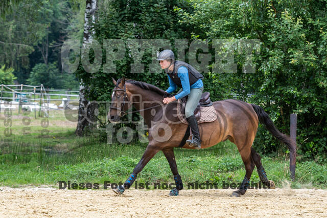 Hunter Geländetraining 10.07.2021 (Sonsbeck)