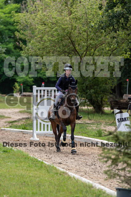 Late-Entry-Vielseitigkeit Langenfeld (11.+13./14.06.2020)