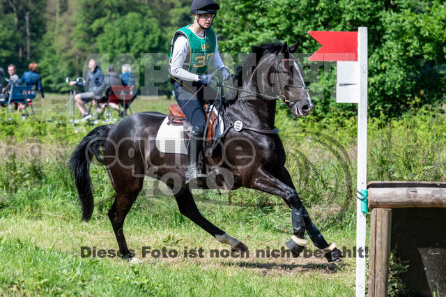 Westerstede Horse Trials (10.-13.06.2021)