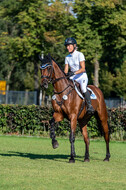 Kronenberg - De Peelbergen (August 2020)