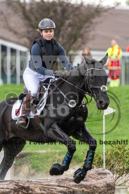 Goldene Schärpe 2020 - Pferde