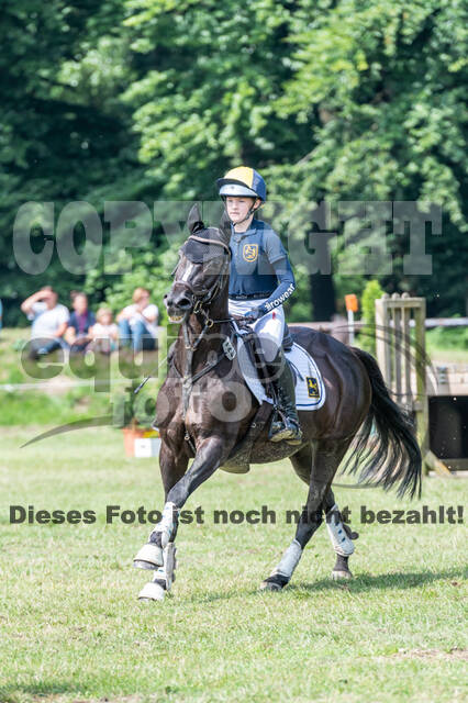 Goldene Schärpe 2021 - Ponys