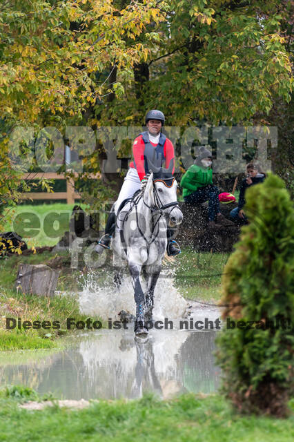 Goldene Schärpe 2020 - Pferde