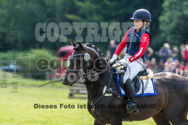 Goldene Schärpe 2021 - Ponys