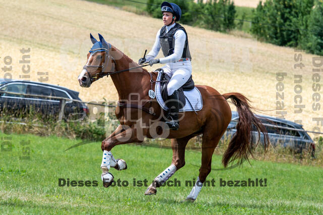 Bonn-Rodderberg Late-Entry-Vielseitigkeit (30.06.2020)