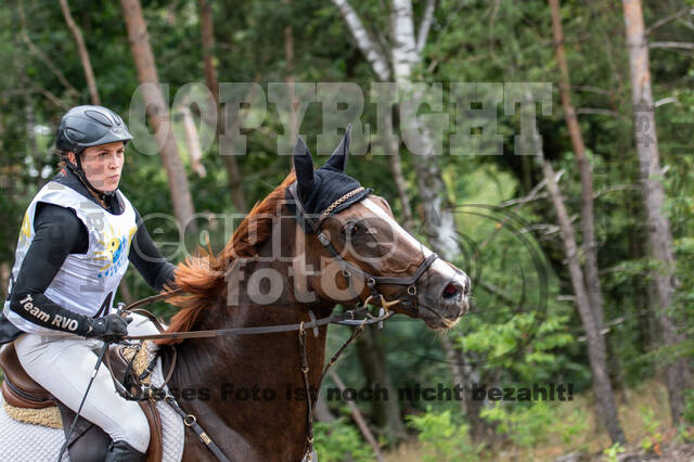 Late-Entry Vielseitigkeit Hamminkeln/Wesel (01.+02.08.2020)