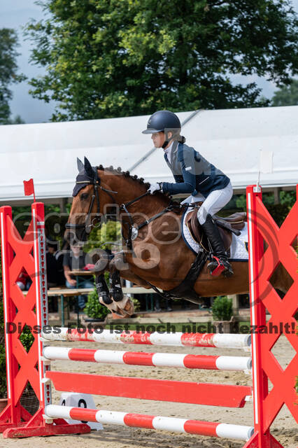 Goldene Schärpe 2021 - Ponys