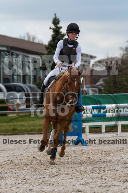 Eventing im Pferdesportzentrum Rheinland (Late Entry 14.03.2022)