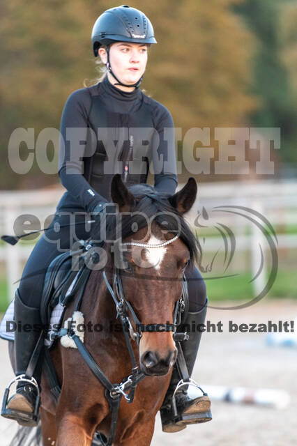 IGV Lehrgang der Sieger der Cups mit Frank Ostholt