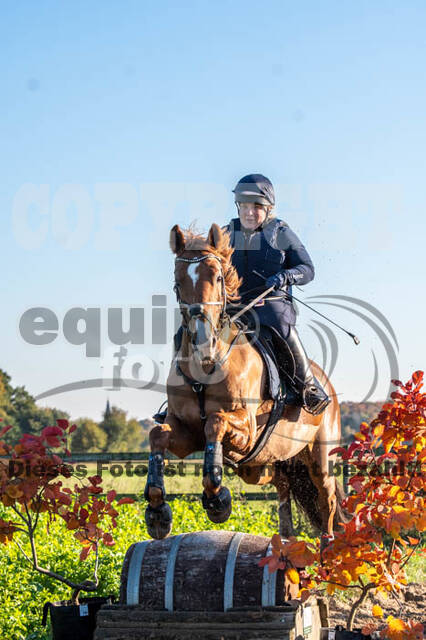 Vielseitigkeitslehrgang mit Jürg Kurbel (9.+10.11.2019)