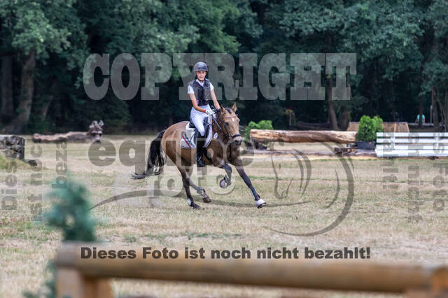 Late-Entry Vielseitigkeit Hamminkeln/Wesel (01.+02.08.2020)