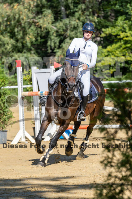 RFV Dinslaken-Hiesfeld (Herbstturnier)