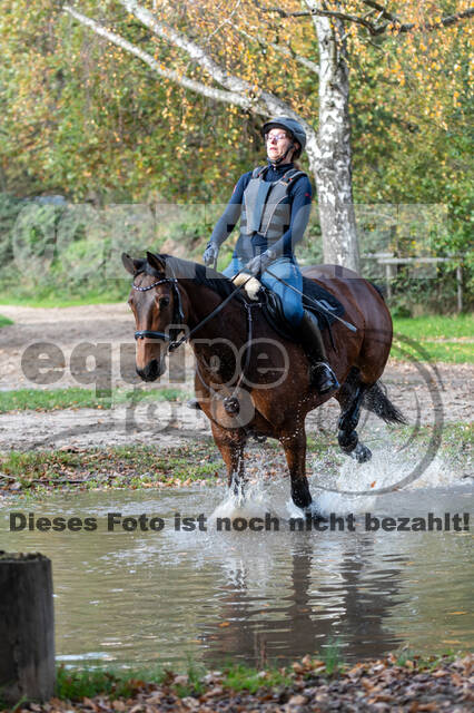 IGV Lehrgang der Sieger der Cups mit Frank Ostholt