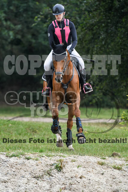 Late-Entry-Vielseitigkeit Langenfeld (11.+13./14.06.2020)