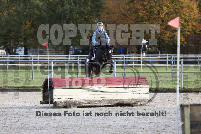 IGV Lehrgang der Sieger der Cups mit Frank Ostholt