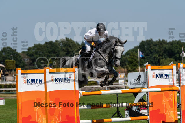 Kronenberg - De Peelbergen (August 2020)