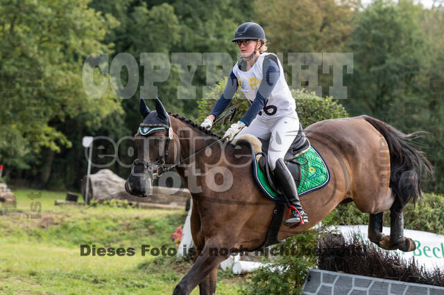 Vielseitigkeit RSV Wesel Obrighoven (26.+27.09.2020)