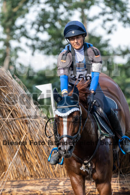 De Peelbergen (August 2020)