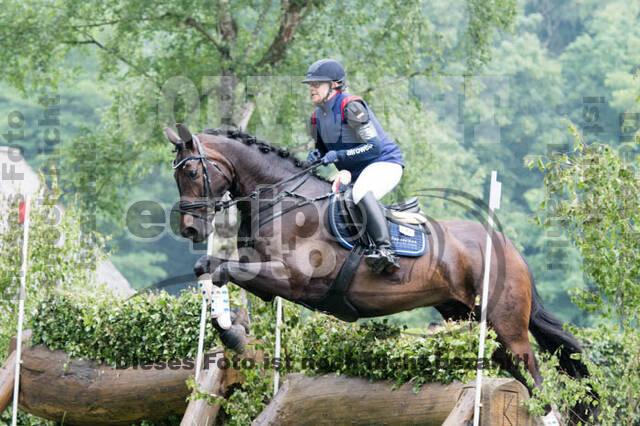 Vielseitigkeitsturnier Bad Honnef