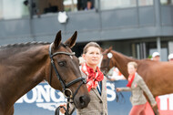 FEI European Championship Eventing 2019