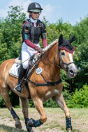 Goldene Schärpe 2021 - Ponys