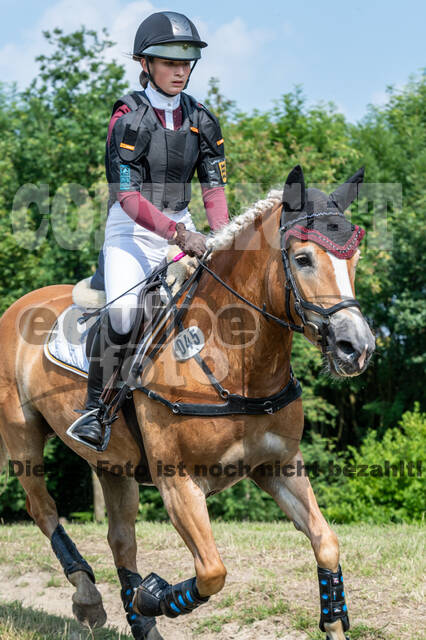 Goldene Schärpe 2021 - Ponys