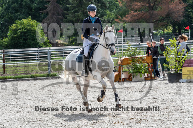 Late-Entry-Vielseitigkeit Langenfeld (06.+07.07.2020)