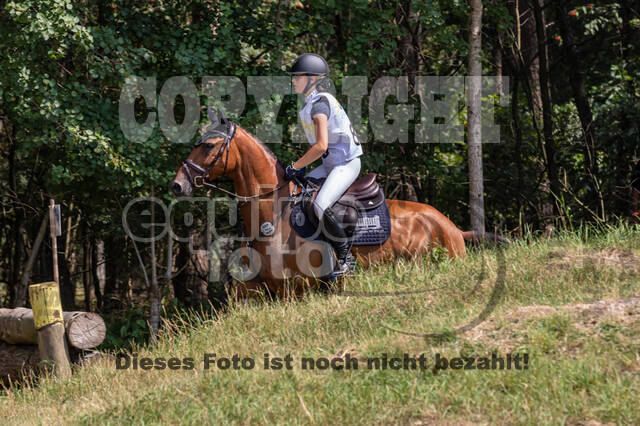 Late-Entry Vielseitigkeit Hamminkeln/Wesel (01.+02.08.2020)