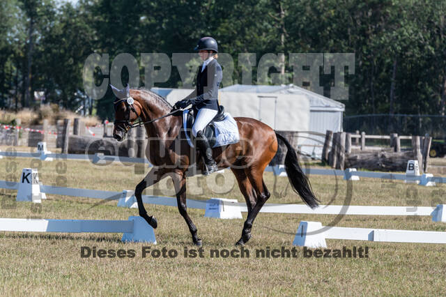 Kronenberg - De Peelbergen (August 2020)