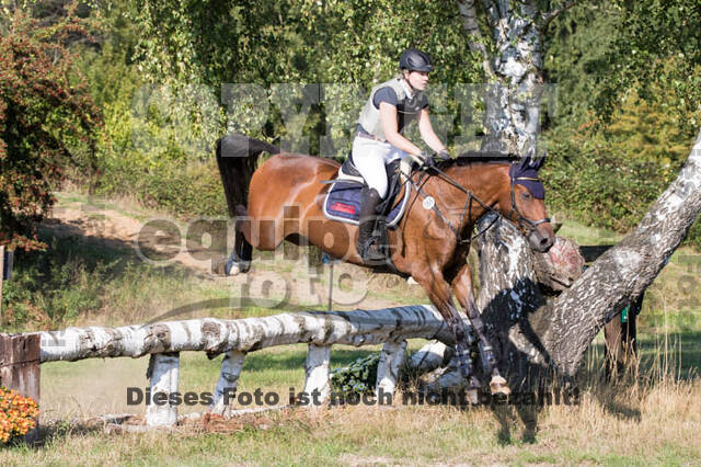 Vielseitigkeitsturnier RSV St. Hubertus Wesel Obrighoven