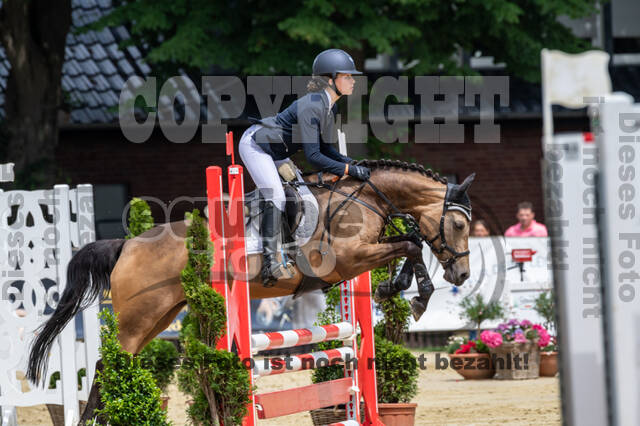 Goldene Schärpe 2021 - Ponys