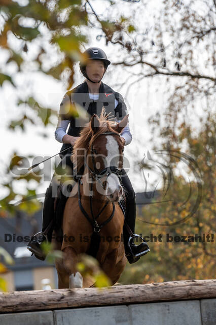 IGV Lehrgang der Sieger der Cups mit Frank Ostholt