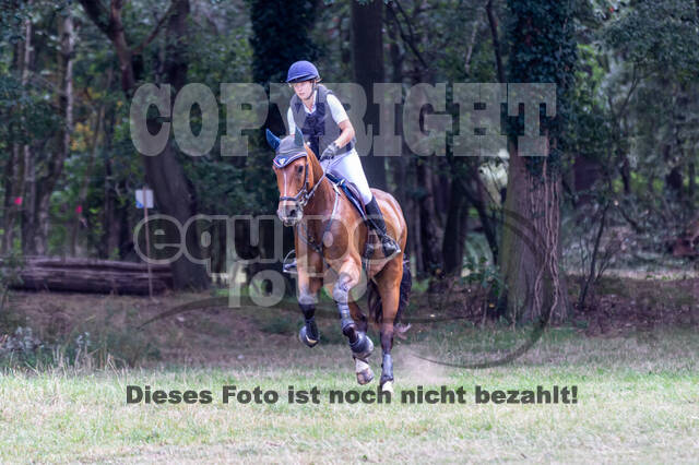 Late-Entry Vielseitigkeit Hamminkeln/Wesel (01.+02.08.2020)